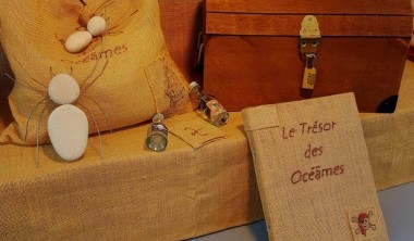 LE TRESOR DES OCEAMES LE TRESOR DES OCEAMES