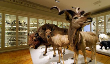 Muséum d'Histoire Naturelle Muséum d'Histoire Naturelle
