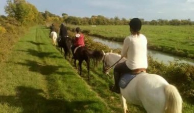 Randonnées et balades à cheval - Centre équestre Le Marais en Selle
