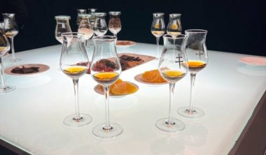 Au cœur de d'Ussé - Château de Cognac
