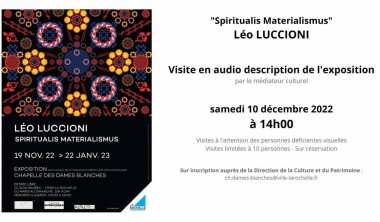 Visite en audiodescription de l'exposition Spiritualis Materialismus - Léo Luccioni