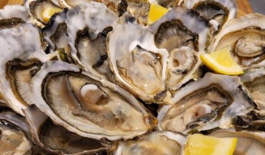 Le Comptoir Saoufé Plateau d'huîtres