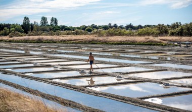 MARAIS SALANTS ILE DE RE