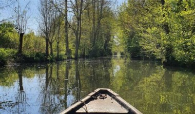 Balade en barque dans le Marais poitevin