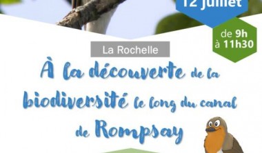 Affiche sortie rompsay