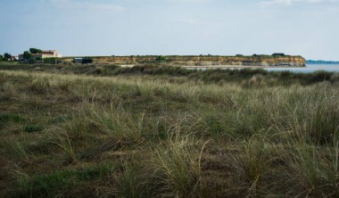 Les 4 saisons de la réserve naturelle du marais d'Yves