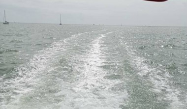 Sortie demi-journée en catamaran - Ocean Cruise Sillage du catamaran