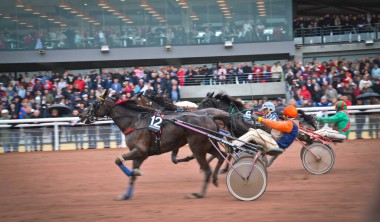 Courses à l'hippodrome_Châtelaillon-Plage