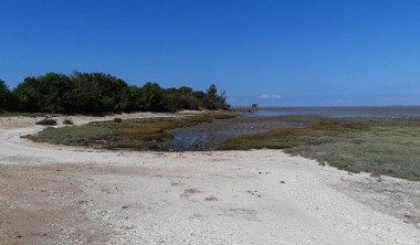La baie d'Yves au fil des Temps - Le Magnou entre Terre et Mer_Fouras-les-Bains