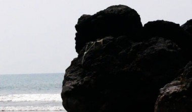Le chemin de la tortue