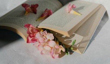Atelier Bibliothérapie Adulte_Châtelaillon-Plage