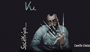 Spectacle - Vu_Angoulins