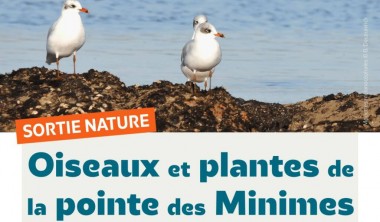 Visite guidée - A la découverte de la biodiversité du port_La Rochelle