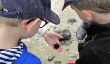 Sortie Nature - Explorateurs de l'estran_La Rochelle