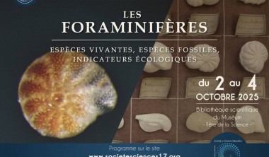 Conférence - Les rencontres d'Orbigny - Les Foraminifères_La Rochelle