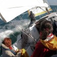 Stage - La Voile pour Tous