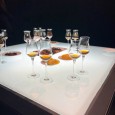 Au cœur de d'Ussé - Château de Cognac