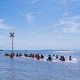 Marche Océanique_Châtelaillon-Plage