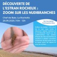 Sortie Nature - Découverte de l'estran, zoom sur les Nudibranches_La Rochelle
