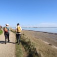 Sortie Nature - Chef de baie : la nature, toute une histoire_La Rochelle