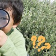 Sortie Nature - Explorateurs en Herbe_Angoulins