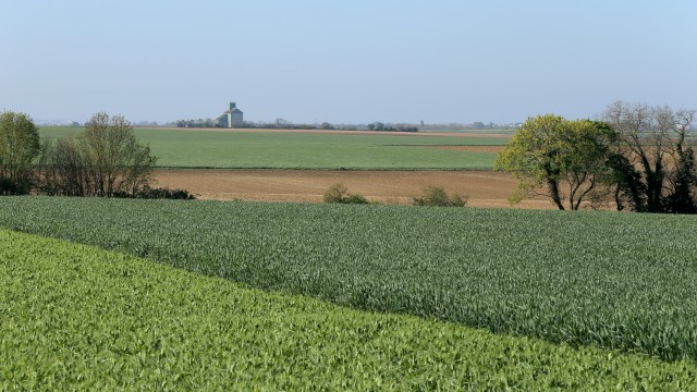 Les champs de Saint Vivien