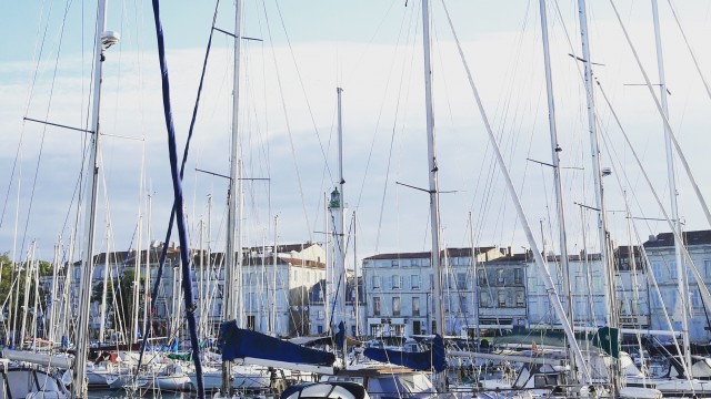 Vieux Port, lumière matinale