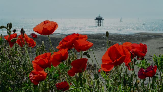 Phare du Bout du Monde