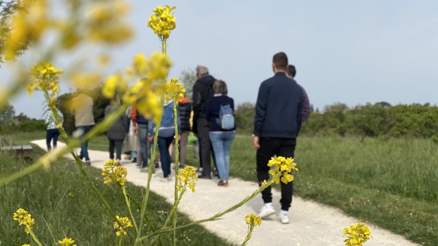 Visite guidée marais de tasdon