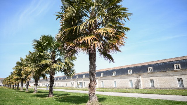 Excursion Rochefort - Extérieur de la Corderie Royale