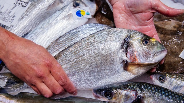 Poissons Coquillages Et Crustaces