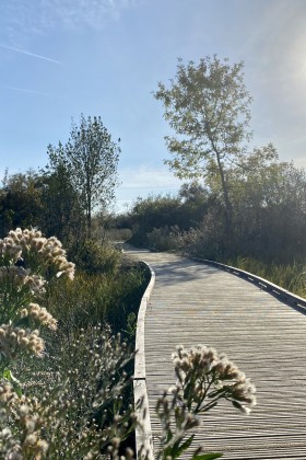 Se reconnecter à la nature au Marais de Tasdon