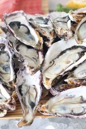 Comment devenir expert en huîtres à La Rochelle ?