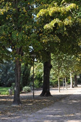 Parc de la gare