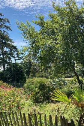 Parc Franck Delmas